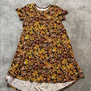 COPY - LuLaRoe Carly dress